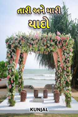 tari ane mari yado by કુંજલ in Gujarati