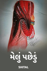 મેલું પછેડું by Shital in Gujarati