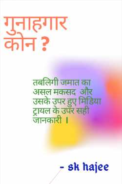 sk hajee द्वारा लिखित गुनाहगार कोन ? बुक  हिंदी में प्रकाशित