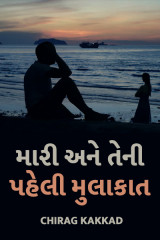 મારી અને તેની પહેલી મુલાકાત દ્વારા Chirag Kakkad in Gujarati