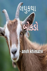 Ansh Khimtavi profile