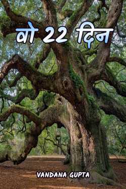 Vandana Gupta द्वारा लिखित  Wo 22 din बुक Hindi में प्रकाशित