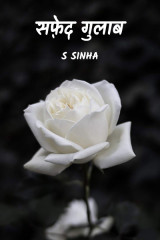 S Sinha profile