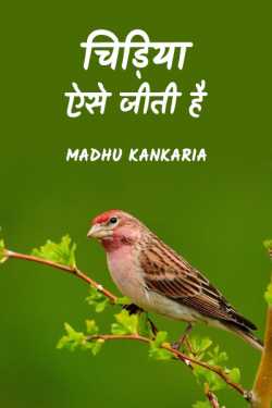 चिड़िया ऐसे जीती है by Madhu Kankaria in Hindi