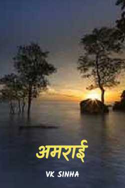 Vk Sinha द्वारा लिखित  Amraai बुक Hindi में प्रकाशित