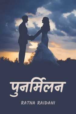 Ratna Raidani द्वारा लिखित  Punarmilan बुक Hindi में प्रकाशित
