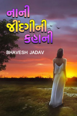 નાની જીંદગી ની કહાની by Bhavesh Jadav in English