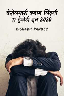 RISHABH PANDEY द्वारा लिखित  berojgari बुक Hindi में प्रकाशित