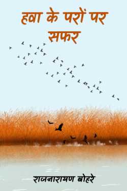 राजनारायण बोहरे द्वारा लिखित  hawa ke parau par safar बुक Hindi में प्रकाशित