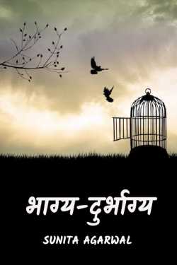 Sunita Agarwal द्वारा लिखित  bhagya -durbhagy बुक Hindi में प्रकाशित
