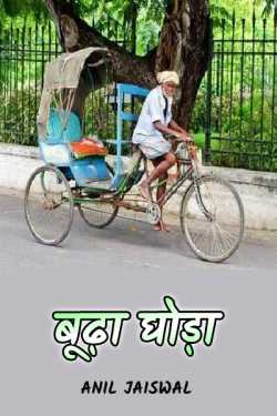 Anil jaiswal द्वारा लिखित  budha ghoda बुक Hindi में प्रकाशित