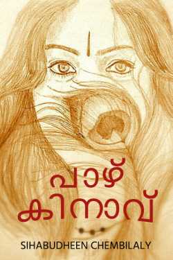 പാഴ് കിനാവ് by Sihabudheen chembilaly in Malayalam