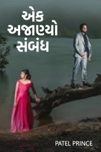 એક અજાણ્યો સંબંધ - ભાગ-૬ - સફરનો અંત