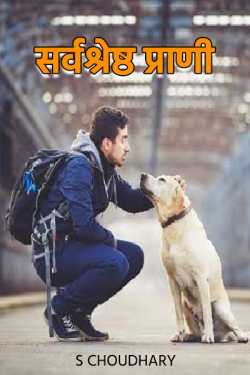 S Choudhary द्वारा लिखित  sarvshesth prani बुक Hindi में प्रकाशित