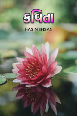 Hasin Ehsas profile