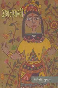राजनारायण बोहरे द्वारा लिखित  ahan pakhi upnyas matreyi pushpa बुक Hindi में प्रकाशित