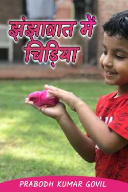 Prabodh Kumar Govil द्वारा लिखित  jhanjhavaat me chidiya - 1 बुक Hindi में प्रकाशित
