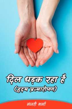 मंजरी शर्मा द्वारा लिखित  Heart beats (heart transplant) बुक Hindi में प्रकाशित