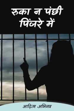 Ruka na Panchhi Pinjare me by आदित्य अभिनव in Hindi