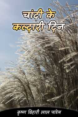 चांदी के कल्दारी दिन by कृष्ण विहारी लाल पांडेय in Hindi