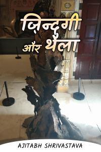 ज़िन्दगी और थैला