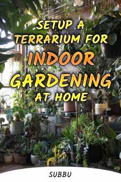 SETUP A TERRARIUM FOR INDOOR GARDENING AT HOME by Subbu in English