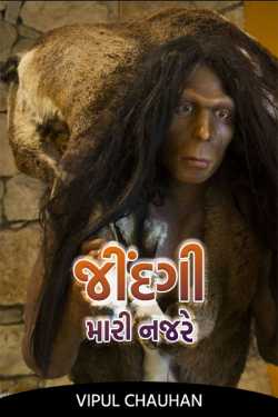 જીંદગી - મારી નજરે by Vipul Chauhan in Gujarati