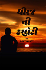 Ajay Nhavi profile