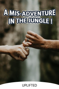 A Mis-adventure in the jungle !