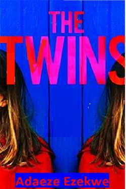 The Twins by Adaeze Ezekwe in English