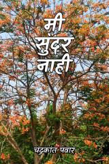 ﻿मी सुंदर नाही द्वारा Chandrakant Pawar in Marathi