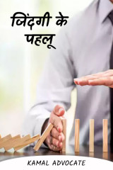 जिंदगी के पहलू by Kamal Bhansali in Hindi