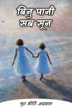 श्रुत कीर्ति अग्रवाल द्वारा लिखित  BINU PANI SAB SUN बुक Hindi में प्रकाशित