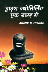 Anand M Mishra profile