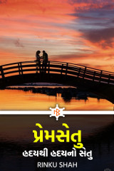 પ્રેમસેતુ હ્રદયથી હ્રદયનો સેતુ દ્વારા Rinku shah in Gujarati
