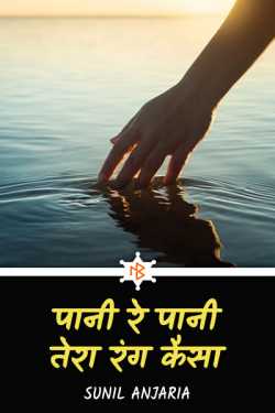 SUNIL ANJARIA द्वारा लिखित  पानी रे पानी तेरा रंग कैसा - 1 बुक Hindi में प्रकाशित