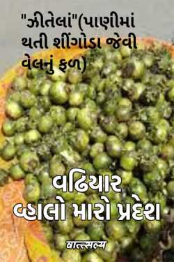 Wadhiyar Whalo my region by वात्सल्य in Gujarati