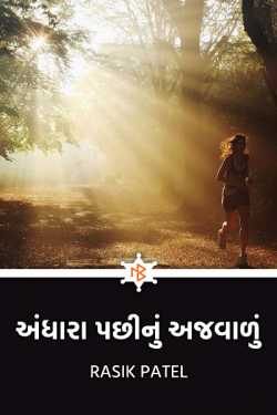 The light after dark by Rasik Patel in Gujarati