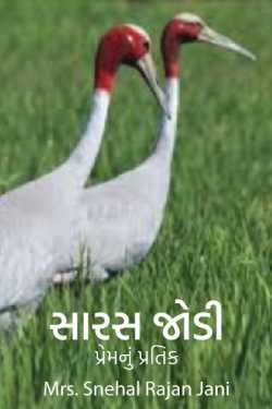 A pair of storks - a symbol of love by Mrs. Snehal Rajan Jani in Gujarati