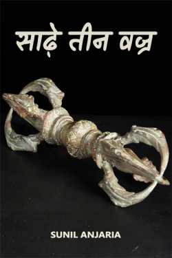 SUNIL ANJARIA द्वारा लिखित  Sadhe tin vajra बुक Hindi में प्रकाशित