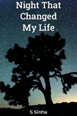 Night That Changed My Life by S Sinha in English