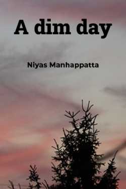 A dim day by Niyas Manhappatta in English