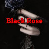 The Meaning and Symbolism of a Black Rose  On Your Journey