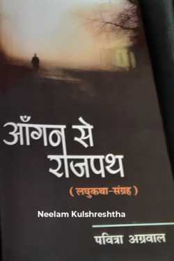 आमजन से सत्ता के गलियारों तक by Neelam Kulshreshtha in Hindi