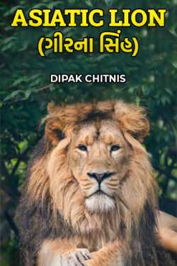 ASIATIC LION by DIPAK CHITNIS. DMC