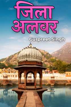 Gurpreet Singh द्वारा लिखित  जिला अलवर बुक Hindi में प्रकाशित