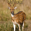 Deer information in best sale hindi