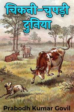 Prabodh Kumar Govil द्वारा लिखित  Chikni Chupadi Duniya बुक Hindi में प्रकाशित