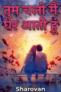 Sharovan द्वारा लिखित  you go i come home बुक Hindi में प्रकाशित