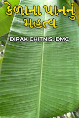 DIPAK CHITNIS. DMC profile